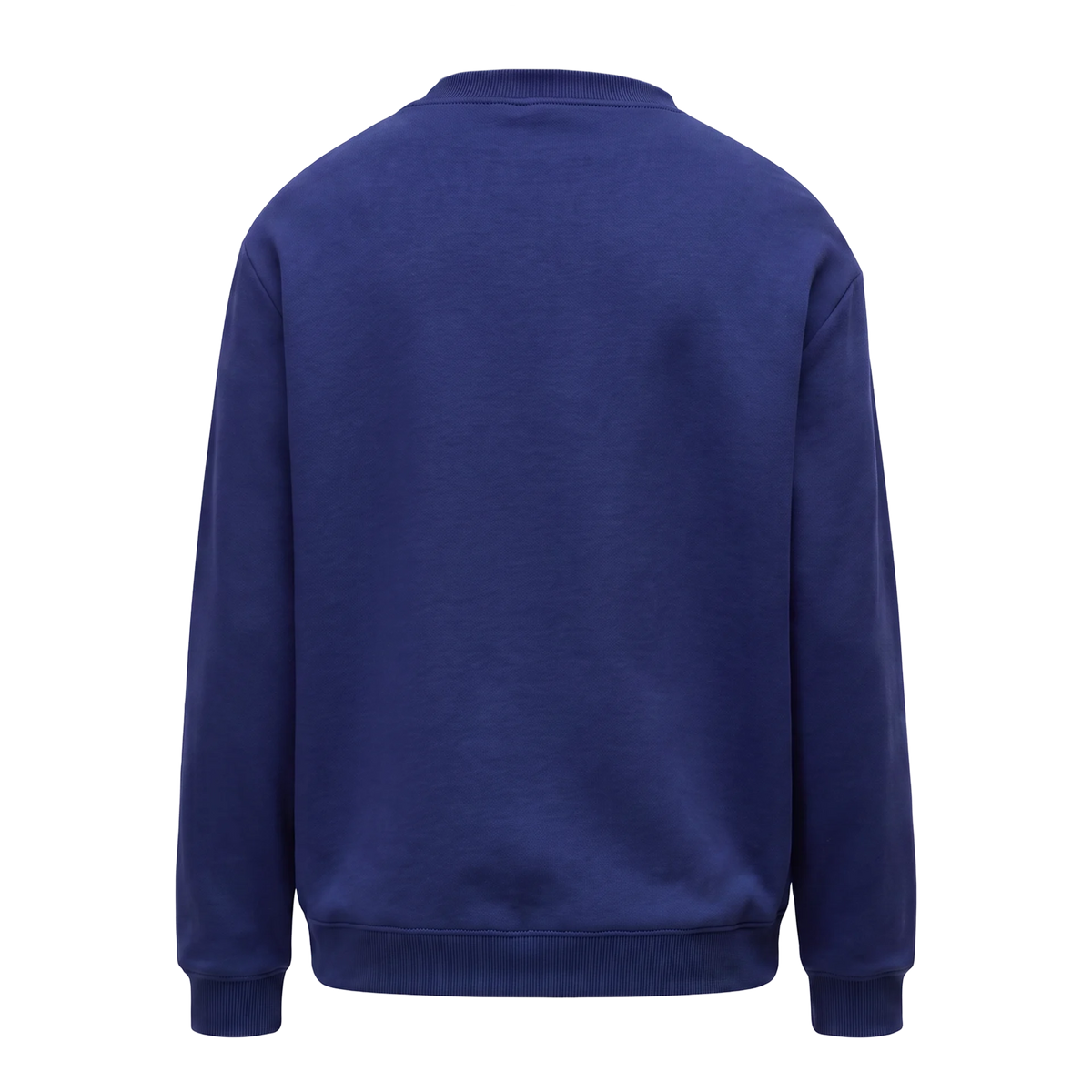 Napapijri Small Box Sweatshirt Blue Marine Back View