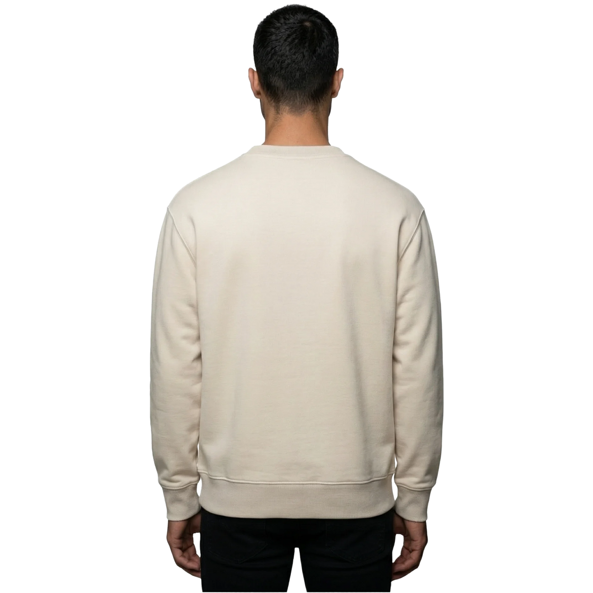 Napapijri Small Box Sweatshirt Beige Dimity Back View
