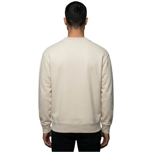 Napapijri Small Box Sweatshirt Beige Dimity Back View
