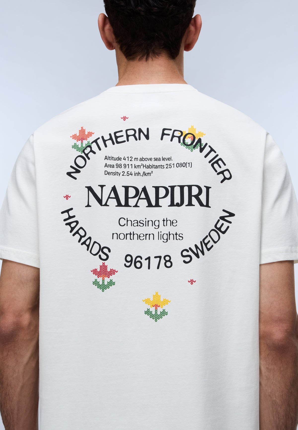 Napapijri Swhol Graphic T-Shirt White FVA Back Print